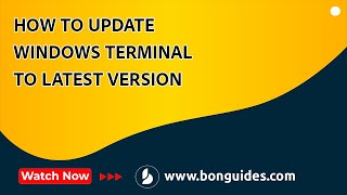 how to update windows terminal to latest version | manually update windows terminal