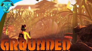 Grounded - building the base of balls and testing out clay structures
for science!we're moving on up!! but not by much since we're only 1
inch tall. c...