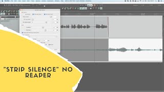 Famous "Strip Silence" no Reaper - Dynamic Split Itens (Remover Silêncio) Net Worth