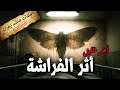 آخر الليل 7 أثر الفراشة النزيل رقم 314 ملفات هاشم زهران 