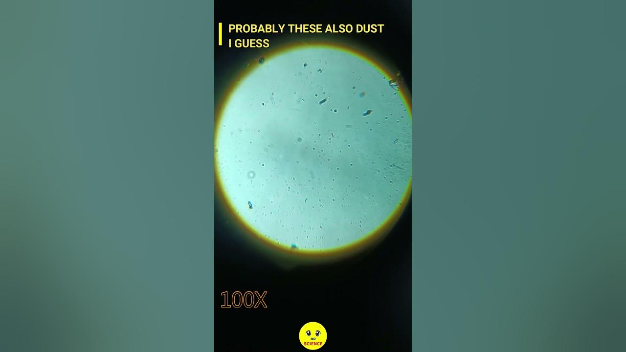 tap-water-under-microscope-dr-science-youtube
