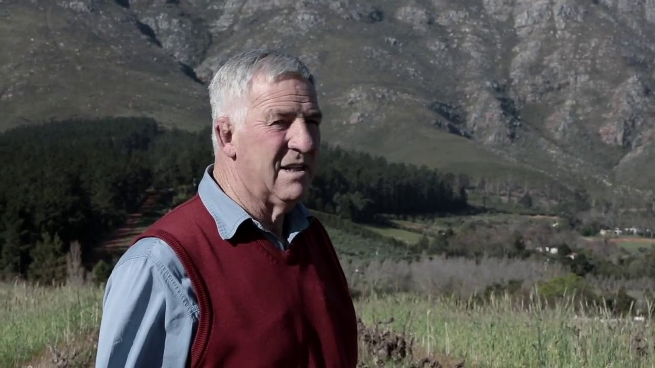 Vriesenhof Pinot Noir 2018