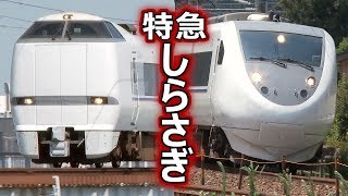 特急しらさぎ号 ~はくたか・サンダーバードから転用された681系・683系特急電車~ (Ltd.Exp. Egret)