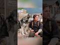 狼と男の誓い#shorts #foryou #funny #fyp #映画#movie
