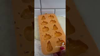 How To Use Chocolate Mold Home-Baker Treat Maker Tips