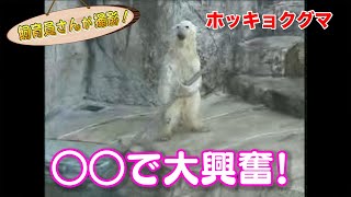 ホッキョクグマのピース 遊ぶ道具が独特すぎた！