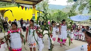 Xochipitzauatl (Preescolar Indígena) Sitlan Huejutla Hidalgo