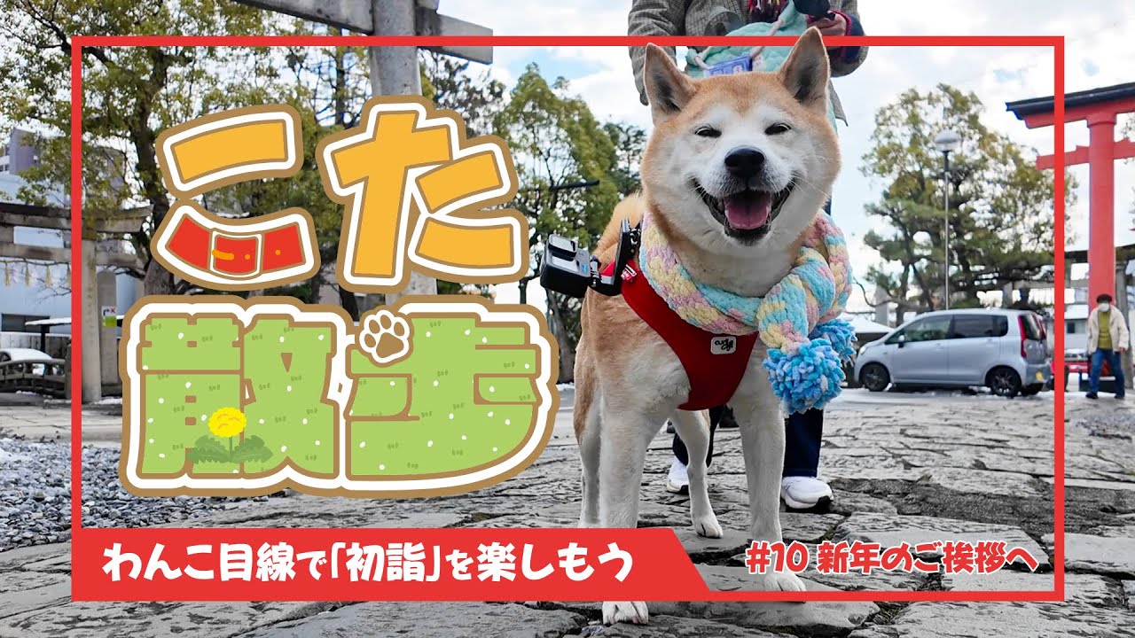 こた散歩1月〜犬目線で「初詣」を楽しもう