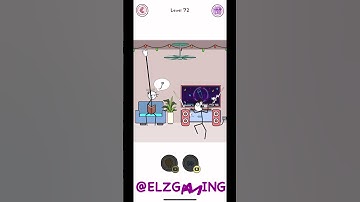 Thief Puzzle Level 72