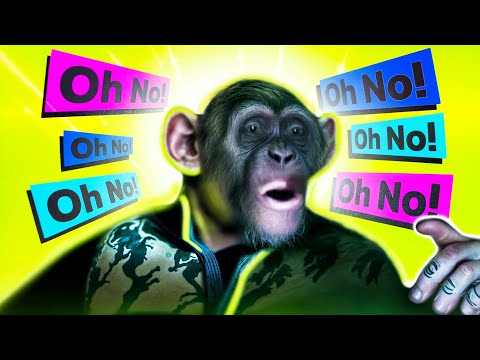 Monkey saying 'Oh No' Meme from Planet of The Apes