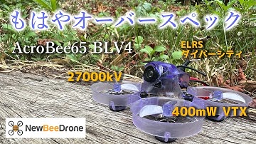【NewBeeDrone】初心者にもおすすめな超ハイスぺTinywhoop！Acrobee BLV4を紹介！【Makerfire】