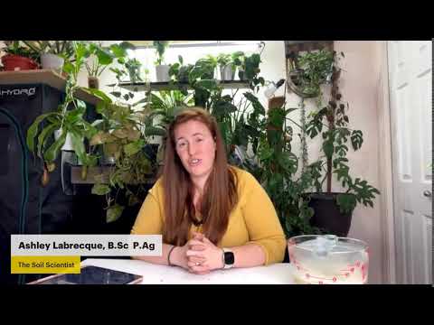 Make Your Own Compost Accelerator with Ashley Labrecque, The Soil Scientist hqdefault