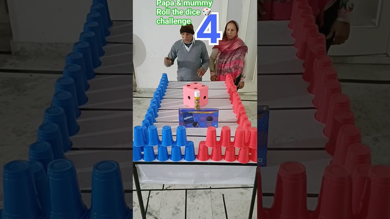 roll the dice and toss the cups challenge 