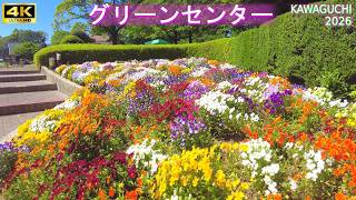 4K60【川口市立グリーンセンター】花壇、バラ 2026.5.9 川口グリーンセンターの真実 2026年最新リニューアルと混雑回避術