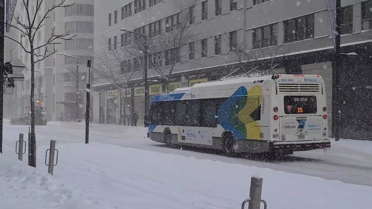 ❄️ Snowstorm! A compilation video of the first major snowstorm of 2022 - Monday, January 17, 2022 🌨️