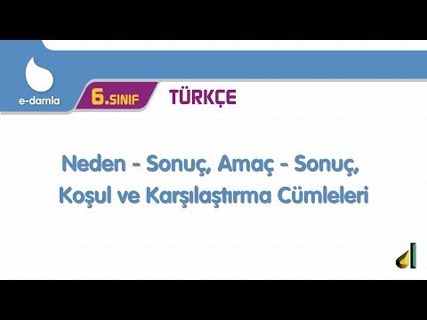6.Sınıf Türkçe Neden