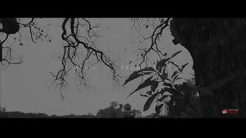 Prepare For The Worst Official Music Film by: Tana Sodmg  directed by ColeFILMZ