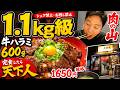 1,650円で肉の山！大和苑の牛ハラミ600g丼大食い