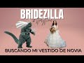 BUSCANDO MI VESTIDO DE NOVIA #STORYTIME