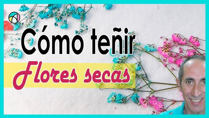 1 juego/15 piezas de flores secas en relieve de muículas de plantas  naturales DIY álbum de recortes flores secas para flores secas de resina,  arte de