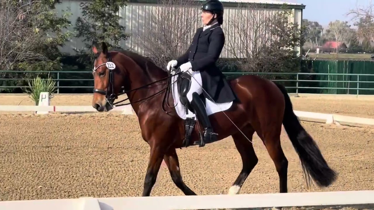 Prix St. Georges   61.9%