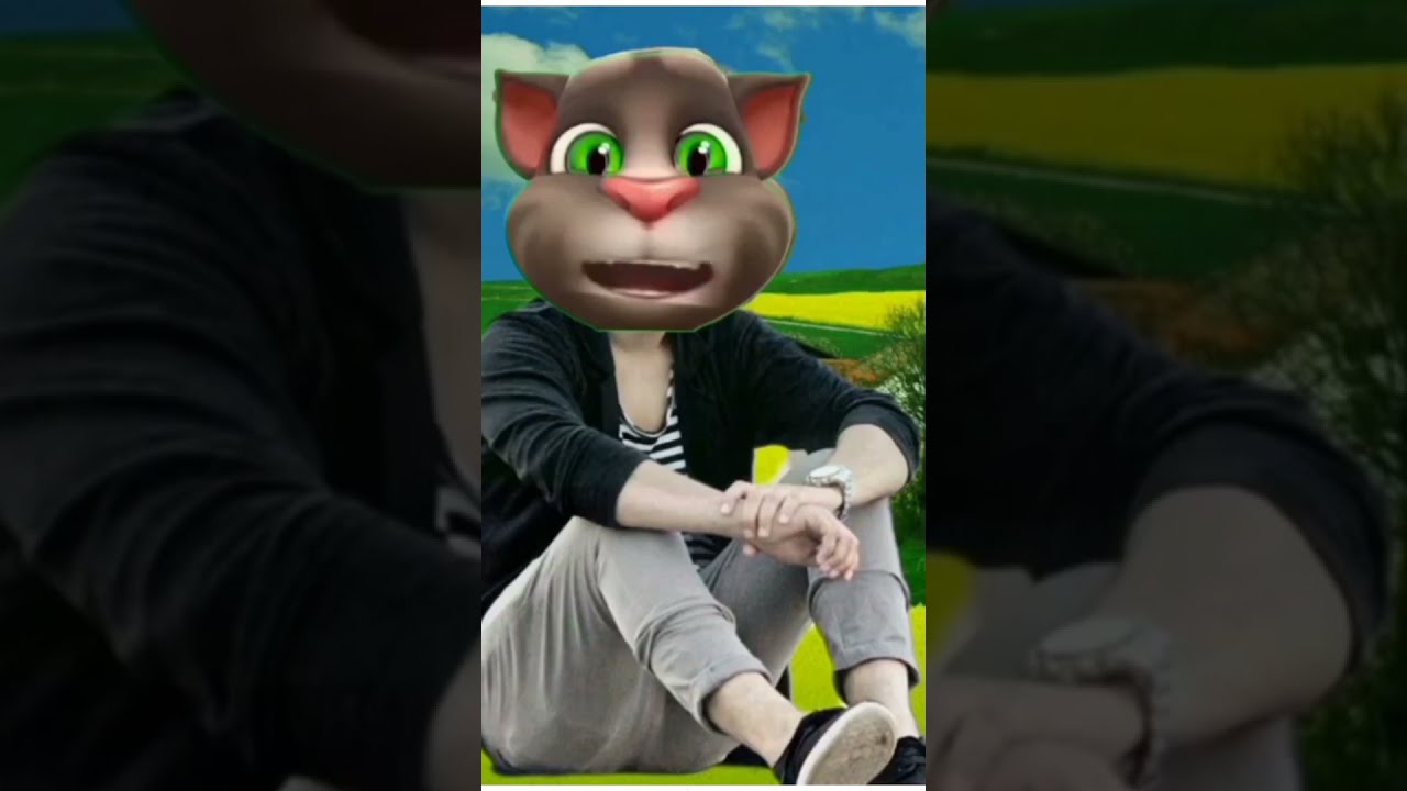 Bull In Hindi Billu YouTube Bull In Hindi Billu YouTube