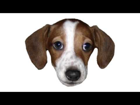 The FrankerZ Song [Official] [HD]