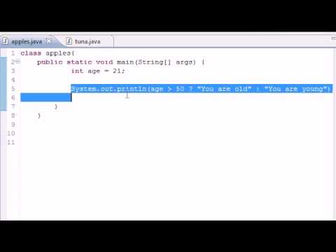 Java Programming Tutorial - 20 - Conditional Operators.flv