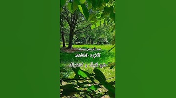عد#عبدالرحمن_مسعد #المغرب #السعودية #قرآن #الجزائر #مصر #خالد_الجليل #quran #تلاوة_خاشعة