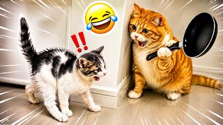 Funniest Animal Videos 2026 When😸 Animals Forget How To Behave
