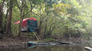 PESTA IKAN DI RAWA KEKERINGAN DAN MEMBUAT SHELTER BERMALAM DI HUTAN KALIMANTAN..