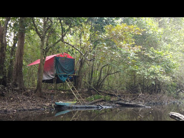 PESTA IKAN DI RAWA KEKERINGAN DAN MEMBUAT SHELTER BERMALAM DI HUTAN KALIMANTAN.. class=