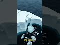 70,000 Penguins Gone in 4 Years