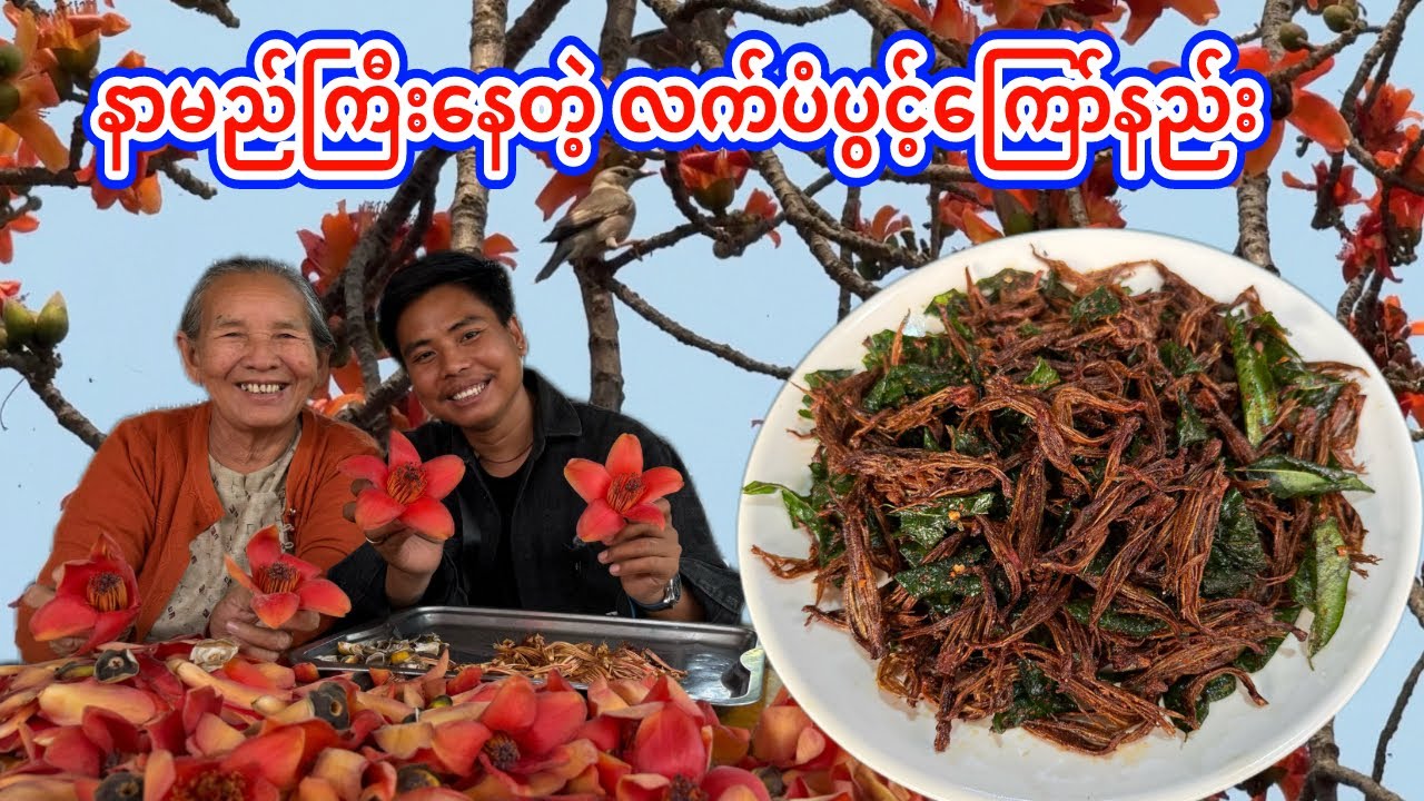 မာလာအနံ့​မွှေး​မွှေး​စပ်စပ်​လေးနဲ့ “လက်ပံပွင့်ကြော်”​ကြော်နည်းလေး ရိူက်ကူးတင်ဆက်လိုက်ပါတယ်ဗျာ🥰