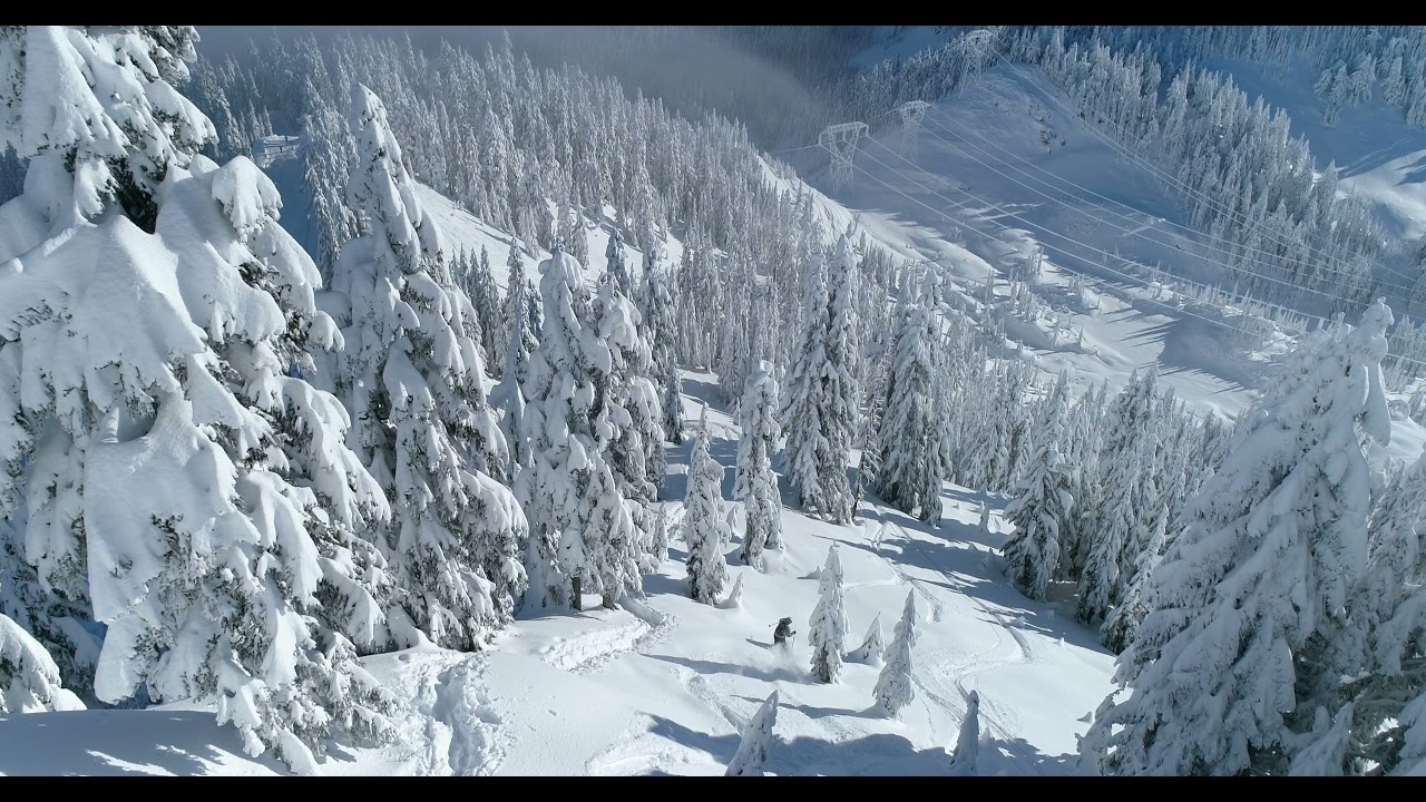 Skis et matériel de ski à Courchevel - Avila