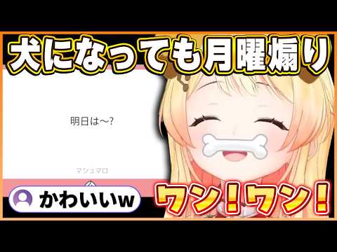 犬になっても月曜日煽りは忘れない奏ちゃんの犬になる謎企画まとめw【ホロライブ切り抜き/音乃瀬奏】