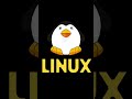 Valorant Could Run on Linux. It Doesn't. #shorts #viral #tech