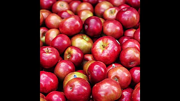 Apples Puppets Shorts 