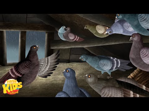 Djuvuruk + Обучающие видео и рассказы для детей