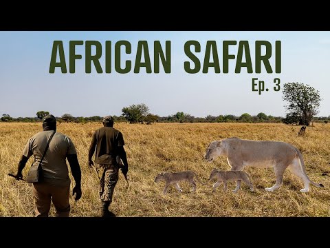 Vídeo: Parc nacional de South Luangwa, Zàmbia: la guia completa