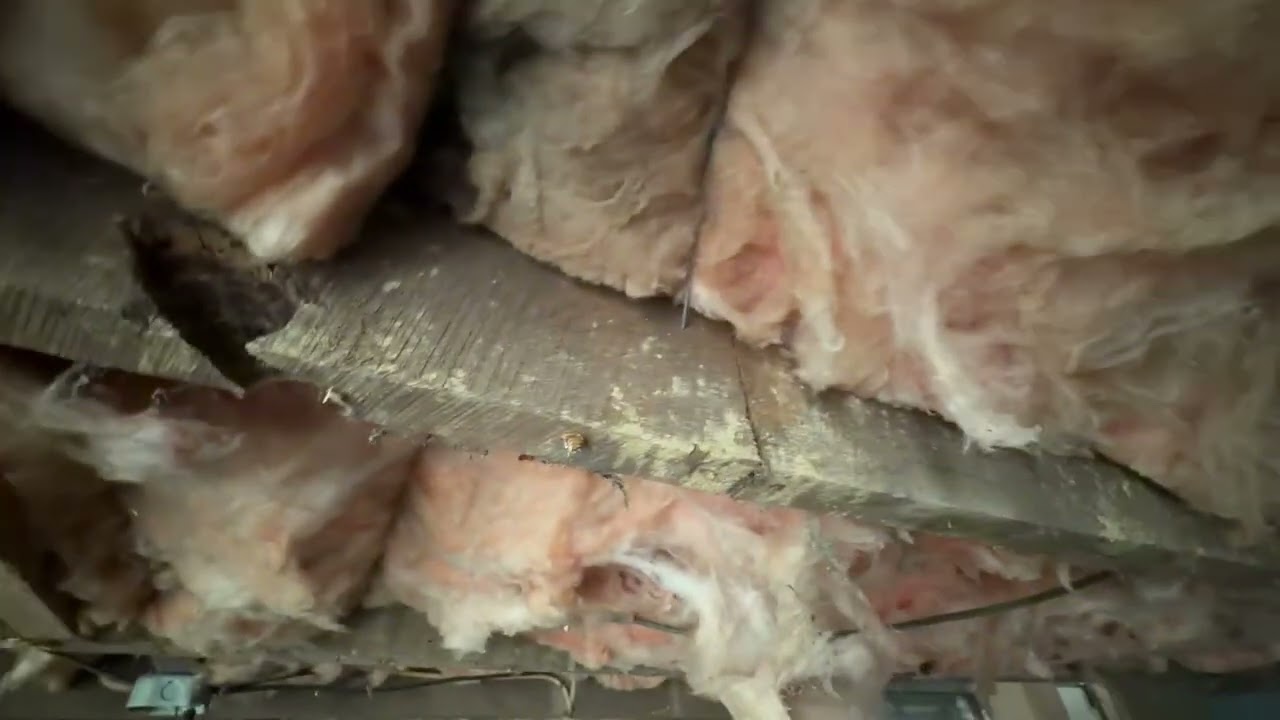 D2R Builders LLC Single Family to Duplex Conversion Project