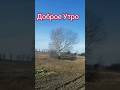 ДОБРОЕ УТРО #мирногонеба  #доброеутро #огород #лук#чеснок #мульчирование #осень  #жизнь #люсимили