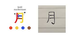 How to Write Mandarin 月 (yuè) – Moon | Step by Step | Level 1 | Project Language© Ltd