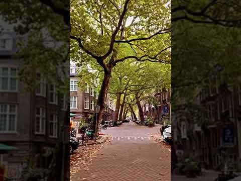 Video: Welcome To My Amsterdam - Unusual Excursions In Amsterdam