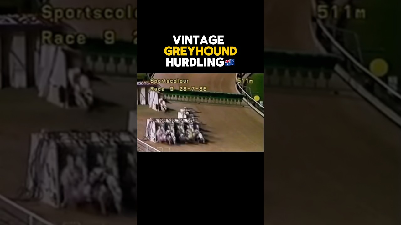 DID YOU CALL THE WINNER?👇