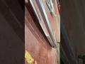 Desmontar moldura gris trasera BYD SEAL U sin necesidad de desmontar el paragolpes trasero
