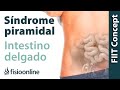 Plantas medicinales y remedios naturales para el síndrome piramidal derecho por intestino