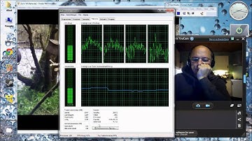 Zorin playing fullscreen video in virtualbox on win7