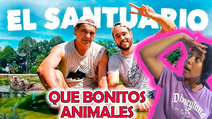 Reacciono a TheGrefg | HAY QUE SALVAR EL SANTUARIO DE FRANK