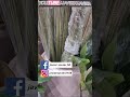 salete #recortes #javierxavier #shortvideo #shortsviral #homedecor